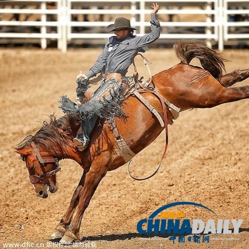 雷速直播-Karsa赛事官方发布败北新规，加拿大队争议不断！的简单介绍